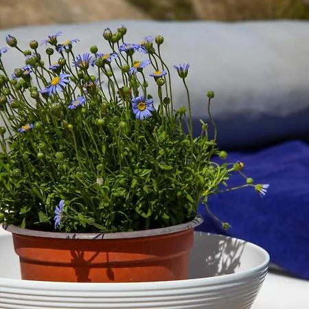 Mykonos-ornos -vilas Angel Alice Demi -pool Holidays With View * Mykonos Town